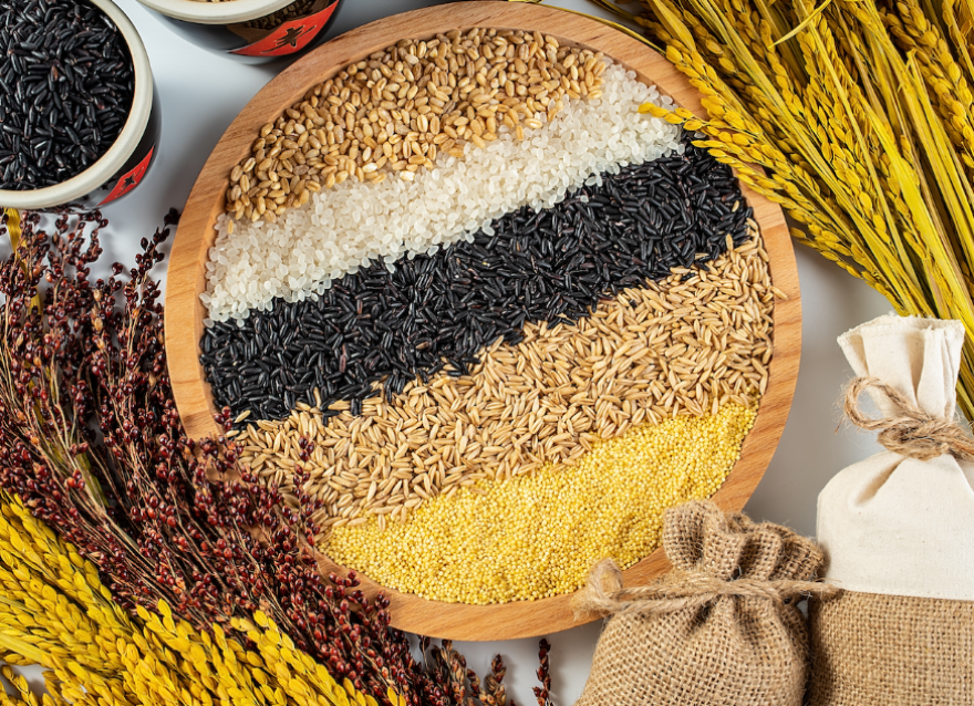 主食（碳水化合物）怎么吃？糖友血糖會(huì)更穩(wěn)定？